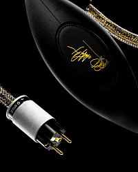 Ansuz Mainz D-TC Gold Signature Ansuz Mainz D-TC Gold Signature