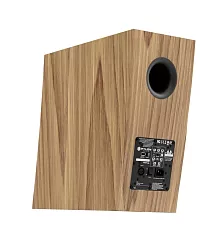 Pylon Audio JASPER MONITOR 18 ACTIVE Pylon Audio JASPER MONITOR 18 ACTIVE