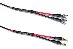 Audience Au24 SE Loudspeaker Bi-Wire Audience Au24 SE Loudspeaker Bi-Wire