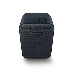Bluesound Pulse Flex 2i Bluesound Pulse Flex 2i