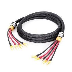 Accuctic Arts TOP LINE MK-2 bulk Accuctic Arts TOP LINE MK-2 bulk